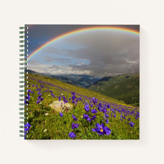 Regenbogen über einer blühenden Wiese Notizblock (Vorderseite)