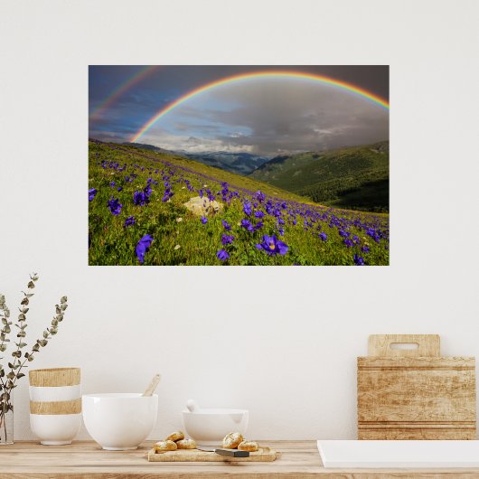 Regenbogen über einer blühenden Wiese Poster (Küche)