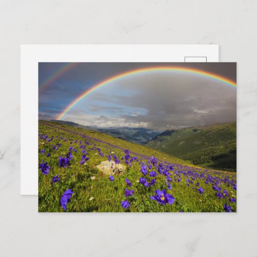 Regenbogen über einer blühenden Wiese Postkarte (Vorne/Hinten)