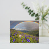 Regenbogen über einer blühenden Wiese Postkarte (Stehend Vorderseite)