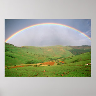 Regenbogen über Hügel, Ostkap, Südafrika Poster