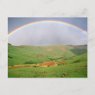 Regenbogen über Hügeln, Ostkap, Südafrika Postkarte