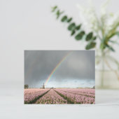 Regenbogen über Hyazinthen und einer Windmühle in  Postkarte (Stehend Vorderseite)