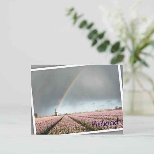 Regenbogen über Hyazinthen und einer Windmühle in  Postkarte (Stehend Vorderseite)