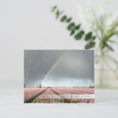 Regenbogen über Hyazinthen und einer Windmühle in  Postkarte (Stehend Vorderseite)