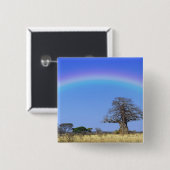 Regenbogen und afrikanischer Baobab-Baum, Adansoni Button (Vorne & Hinten)