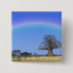 Regenbogen und afrikanischer Baobab-Baum, Adansoni Button