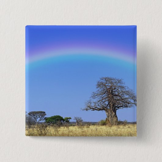Regenbogen und afrikanischer Baobab-Baum, Adansoni Button (Vorderseite)