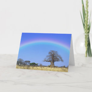 Regenbogen und afrikanischer Baobab-Baum, Adansoni Karte