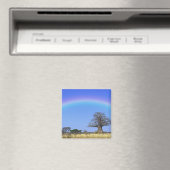 Regenbogen und afrikanischer Baobab-Baum, Adansoni Magnet (In Situ (Geschirrspüler))