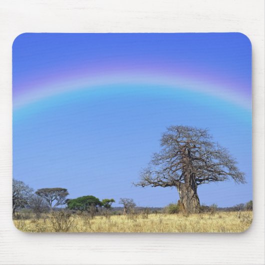 Regenbogen und afrikanischer Baobab-Baum, Adansoni Mousepad (Vorne)