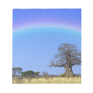 Regenbogen und afrikanischer Baobab-Baum, Adansoni Notizblock