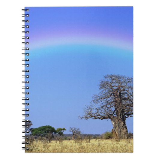 Regenbogen und afrikanischer Baobab-Baum, Adansoni Notizblock (Vorderseite)