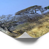 Regenbogen und afrikanischer Baobab-Baum, Adansoni Poster (Ecke)