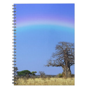 Regenbogen und Afrikanischer Baobabbaum, Adansonia Notizblock