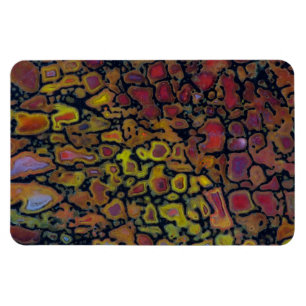 Regenbogen versteinertes Dinosaurierskelett Magnet