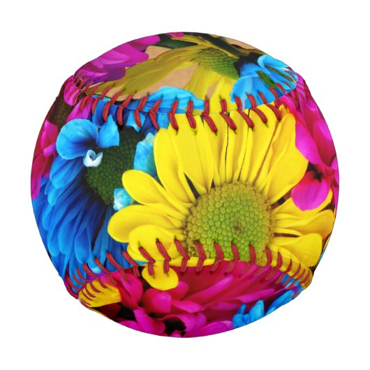 Regenbogen von Daisies Baseball (Rückseite)