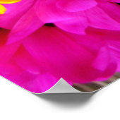 Regenbogen von Daisies Poster (Ecke)