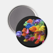 Regenbogen von Parrotfish Magnet (Vorderseite/Rückseite)