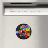 Regenbogen von Parrotfish Magnet (In Situ (Geschirrspüler))