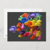 Regenbogen von Parrotfish Postkarte (Vorne/Hinten)