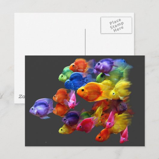 Regenbogen von Parrotfish Postkarte (Vorne/Hinten)