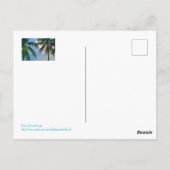 Regenbogen zwischen Palmen und Bäumen /St. Lucia Postkarte (Rückseite)