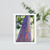 Regenbogenbaum Postkarte (Stehend Vorderseite)