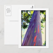 Regenbogenbaum Postkarte (Vorne/Hinten)