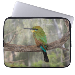 Regenbogenbienenfresser Vogel, Australien Laptopschutzhülle