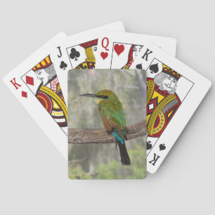 Regenbogenbienenfresser Vogel, Australien Spielkarten