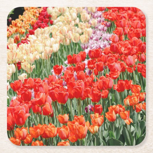 Regenbogenbrauen Rechteckiger Pappuntersetzer (Vorderseite)