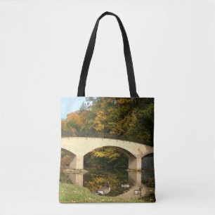 Regenbogenbrücke im Herbst am Grove City College Tasche