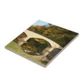 Regenbogenbrücke im Herbst an der Grove City Uni Fliese (Seite)