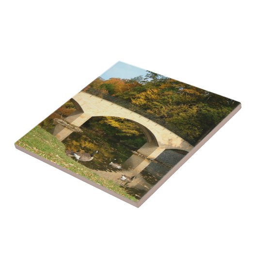 Regenbogenbrücke im Herbst an der Grove City Uni Fliese (Seite)