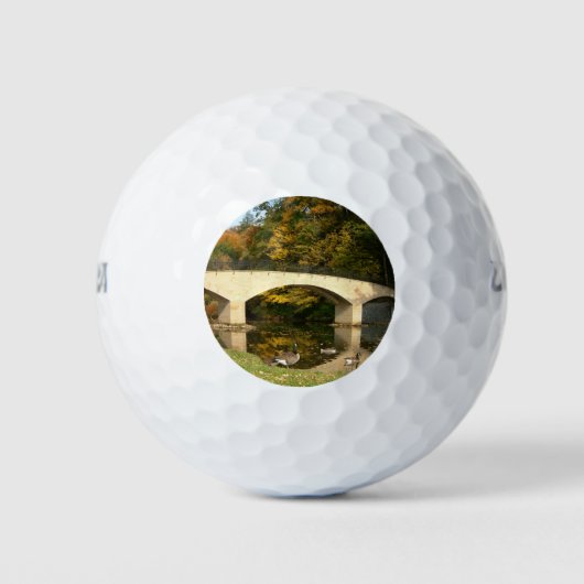 Regenbogenbrücke im Herbst an der Grove City Uni Golfball (Vorderseite)