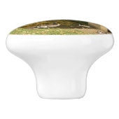 Regenbogenbrücke im Herbst an der Grove City Uni Keramikknauf (Seitenansicht)