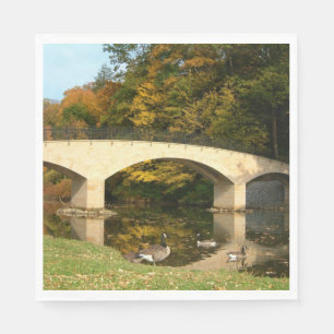 Regenbogenbrücke im Herbst an der Grove City Uni Serviette
