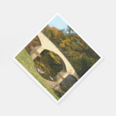 Regenbogenbrücke im Herbst an der Grove City Uni Serviette (Ecke)