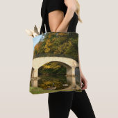 Regenbogenbrücke im Herbst an der Grove City Uni Tasche (Von Nahem)