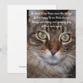 Regenbogenbrücke - Katze (Vorne/Hinten)