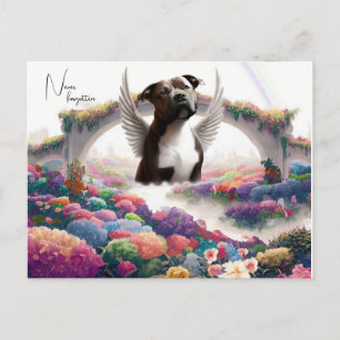 Regenbogenbrücke Mitgefühl Andenken Postkarten Kun