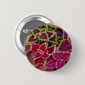 Regenbogenbuntlippe Button (Vorne & Hinten)
