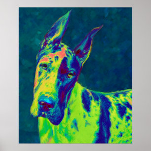 Regenbogendecke Poster