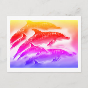 Regenbogendelfine Kunst Postkarte
