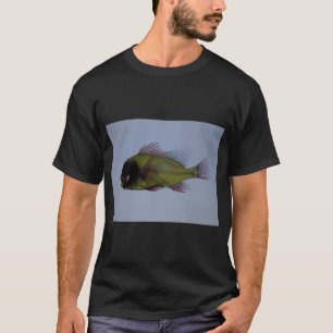 Regenbogendrache Auge Goldfisch T-Shirt