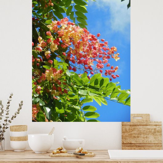 Regenbogenduschbaum Poster (Küche)