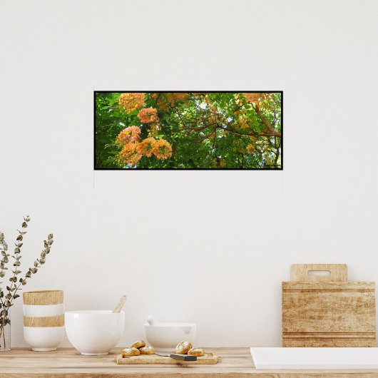 Regenbogendusche Tree Hawaii Poster Prints (Küche)