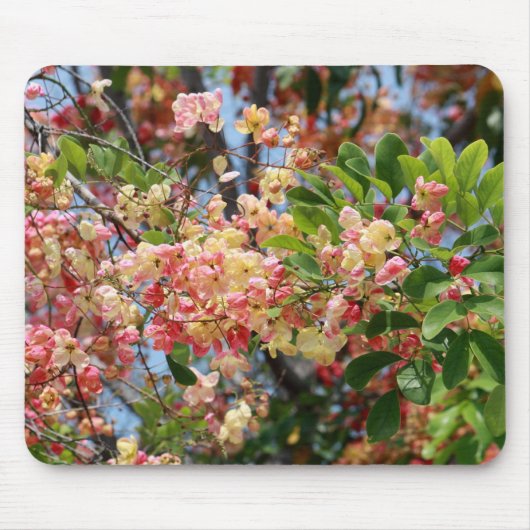 Regenbogendusche Tree Mousepad (Vorne)
