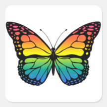 Regenbogenfalter